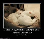 Фотография Кулай Юлианы