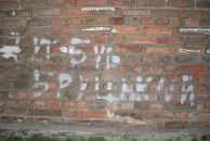 Діма Бруцький фотография #10 (источник - https://vk.com/id37652006)