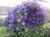 Андрій Осадчий фотография #2 (источник - https://vk.com/id86324189)