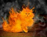 Фотография Лобанова Александра