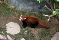 Данил Смирнов фотография #37 (источник - https://vk.com/id532575)