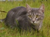 Фотография Речкиной Иришки