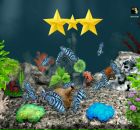 Дмитрий Писарев фотография #26 (источник - https://vk.com/id17475470)