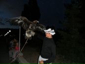 Фотография Пономаренко Михаила