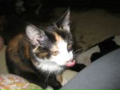 Фотография Ксю Ксю