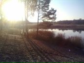 Максим Ніколайчук фотография #30 (источник - https://vk.com/id71701799)