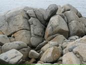 Оля Игнатенко фотография #41 (источник - https://vk.com/id3412764)