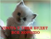 Вероніка Горобець фотография #19 (источник - https://vk.com/id103186440)