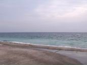 Кориця Ванільна фотография #3 (источник - https://vk.com/id62154690)