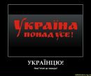 Поліна Ковбель фотография #11 (источник - https://vk.com/id19115786)