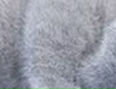 Андрій Лягоменко фотография #25 (источник - https://vk.com/id73083456)