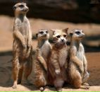 Ігор Сосновський фотография #26 (источник - https://vk.com/id31517093)