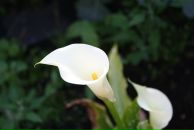 Фотография Суповой Натальи