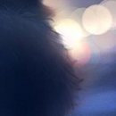 Віка Підцерковна фотография #46 (источник - https://vk.com/id93412120)