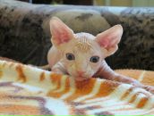 Фотография Поливанного Алексея