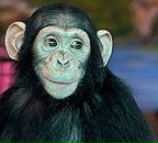 Богдан Палій фотография #32 (источник - https://vk.com/id13117067)