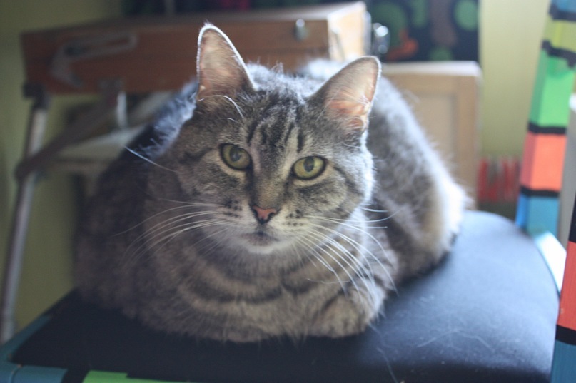 Il Travin фотография #42