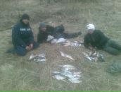 Фотография Курзенёва Руслана