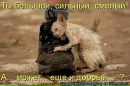 Соломія Царик фотография #33 (источник - https://vk.com/id16160013)