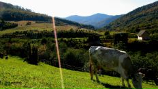 Орест Михаськів фотография #15 (источник - https://vk.com/id14845285)