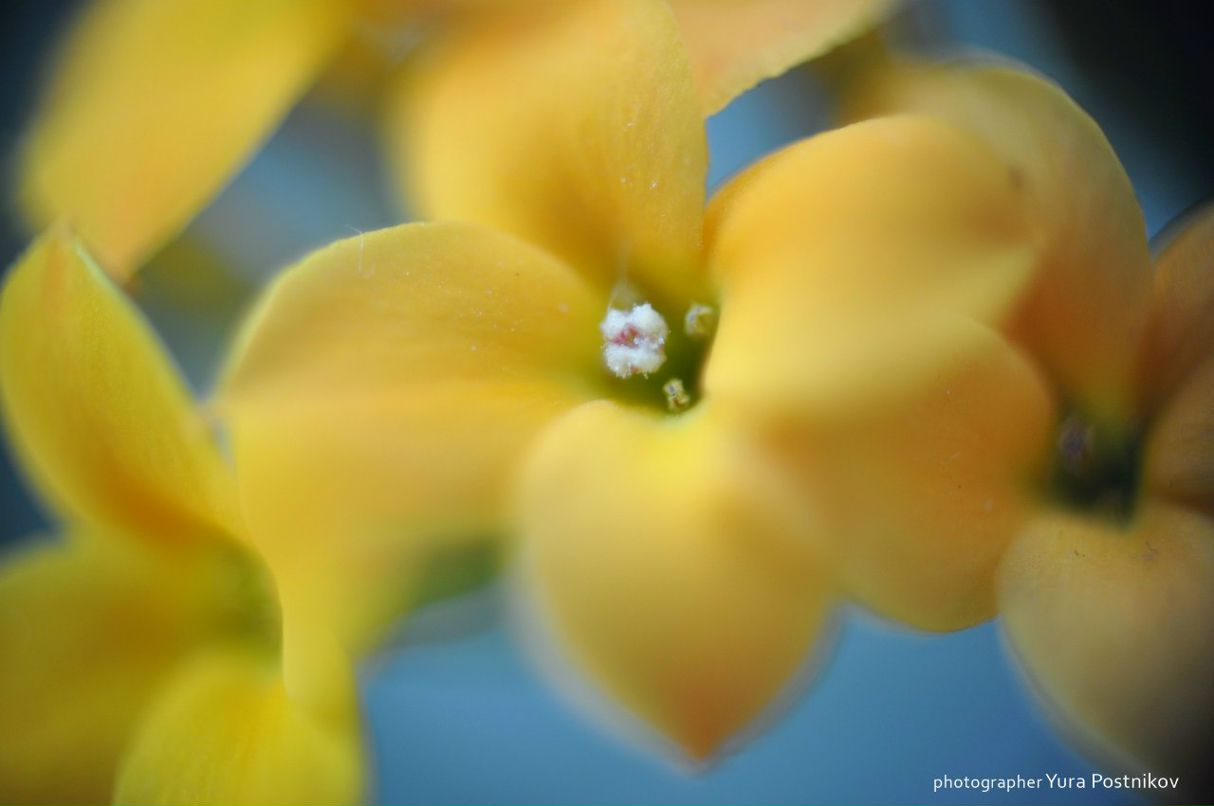 Юра Постников фотография #7