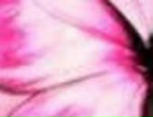 Віка Голомовза фотография #9 (источник - https://vk.com/id57714824)