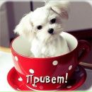 Танічка Бубнюк фотография #23 (источник - https://vk.com/id164809778)