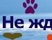 Юлічька Маленко фотография #11 (источник - https://vk.com/id83313693)