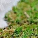 Вєталь Серйозний фотография #43 (источник - https://vk.com/id136859700)