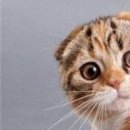 Вєталь Серйозний фотография #33 (источник - https://vk.com/id136859700)