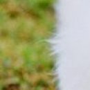 Вєталь Серйозний фотография #39 (источник - https://vk.com/id136859700)