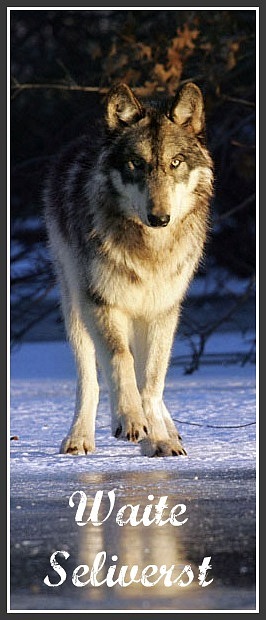 Killer Wolf фотография #2