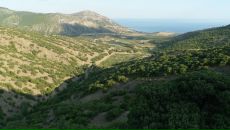 Мішка Бормецький фотография #21 (источник - https://vk.com/id68718597)