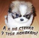 Роман Пронів фотография #27 (источник - https://vk.com/id164365851)