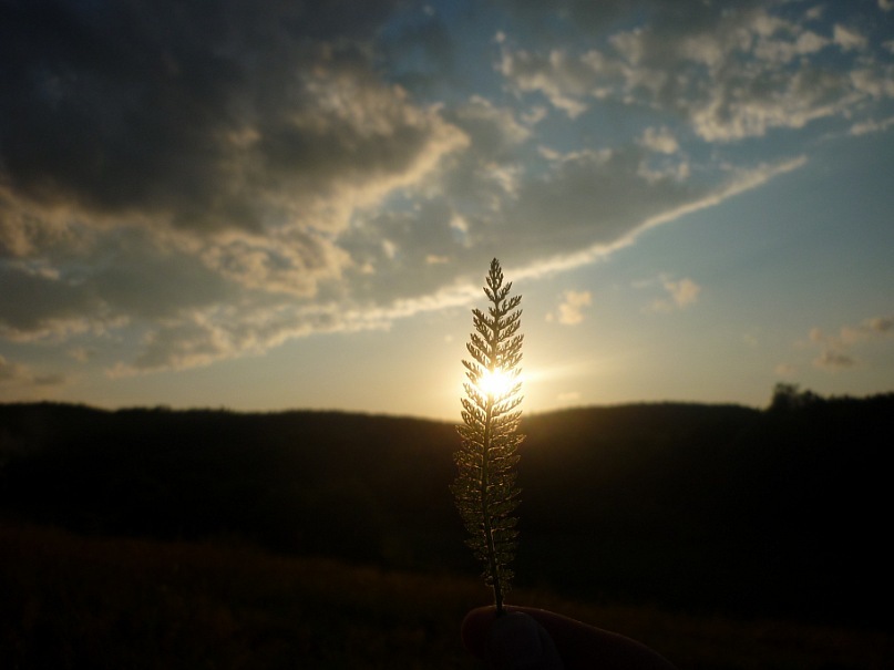 Oleg Bees фотография #21