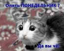Єлизавета Назарчук фотография #37 (источник - https://vk.com/id272450672)