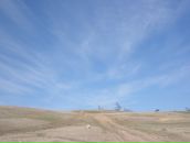 Фотография Моськиной Ирины