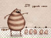 Фотография Михайловой Олеси