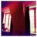 Фотография Рябенко Ксении