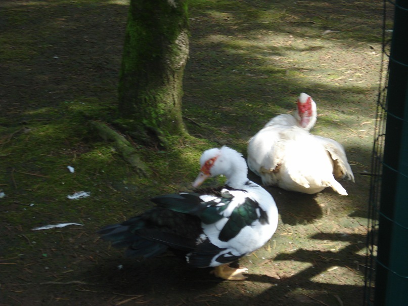 Дмитрий Егерев фотография #17