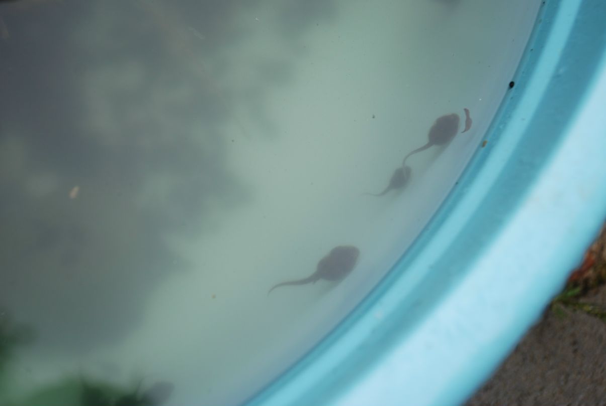 Илья Ткаленко фотография #44