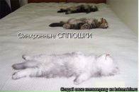 Юрій Рубанік фотография #10 (источник - https://vk.com/id91072730)