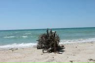 Фотография Данилова Виктора