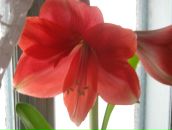 Іван Скорик фотография #20 (источник - https://vk.com/id39590954)