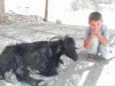 Андрій Дарчич фотография #13 (источник - https://vk.com/id168479339)