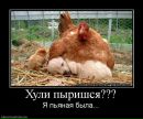 Александр Головань фотография #10 (источник - https://vk.com/id55811247)