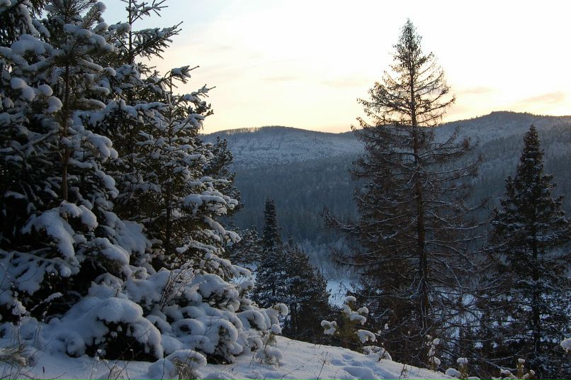 Noa Noa фотография #19