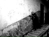 Фотография Васько Дмитрия