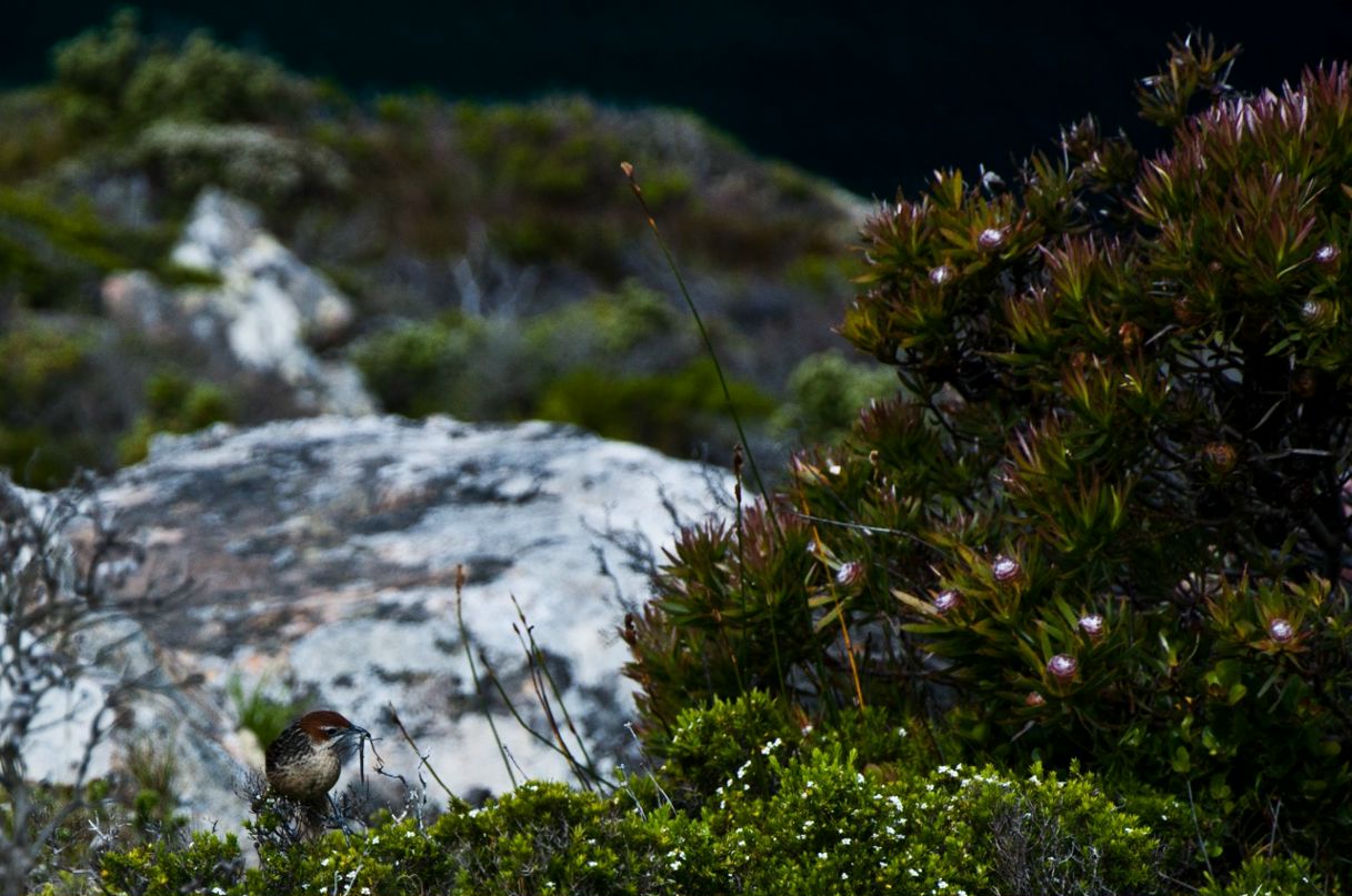 Артем Панченко фотография #42