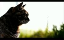 Фотография Порсева Данилы